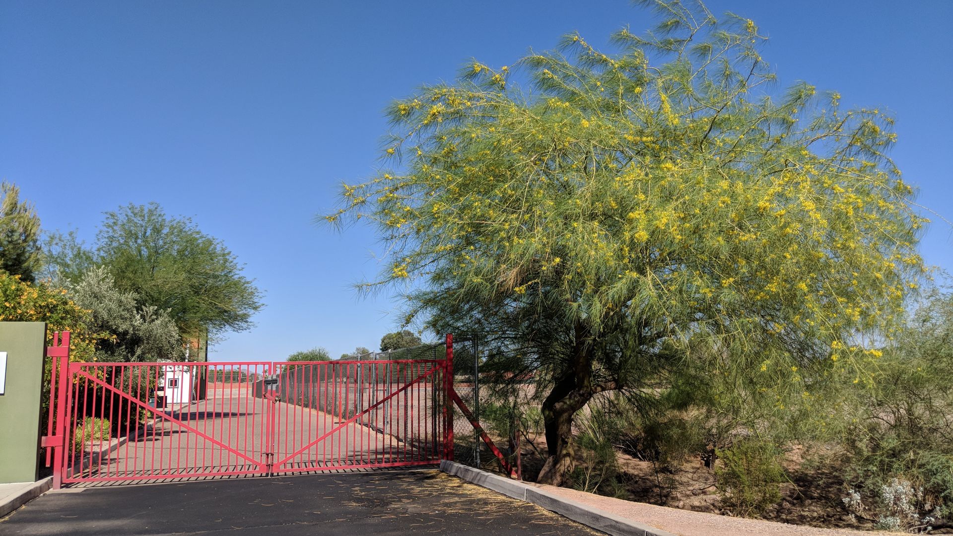 Senior Location
